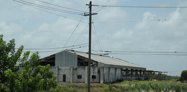 Fincas e industrias en la Glades Cutoff Rd Fincas e industrias en la Glades Cutoff Rd