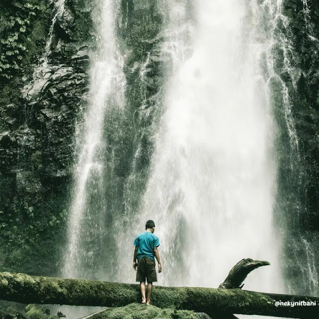 Tempat Wisata di Borong, Flores 7 Air terjun Cunca Rede