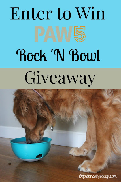 giveaway dog bowl puzzle