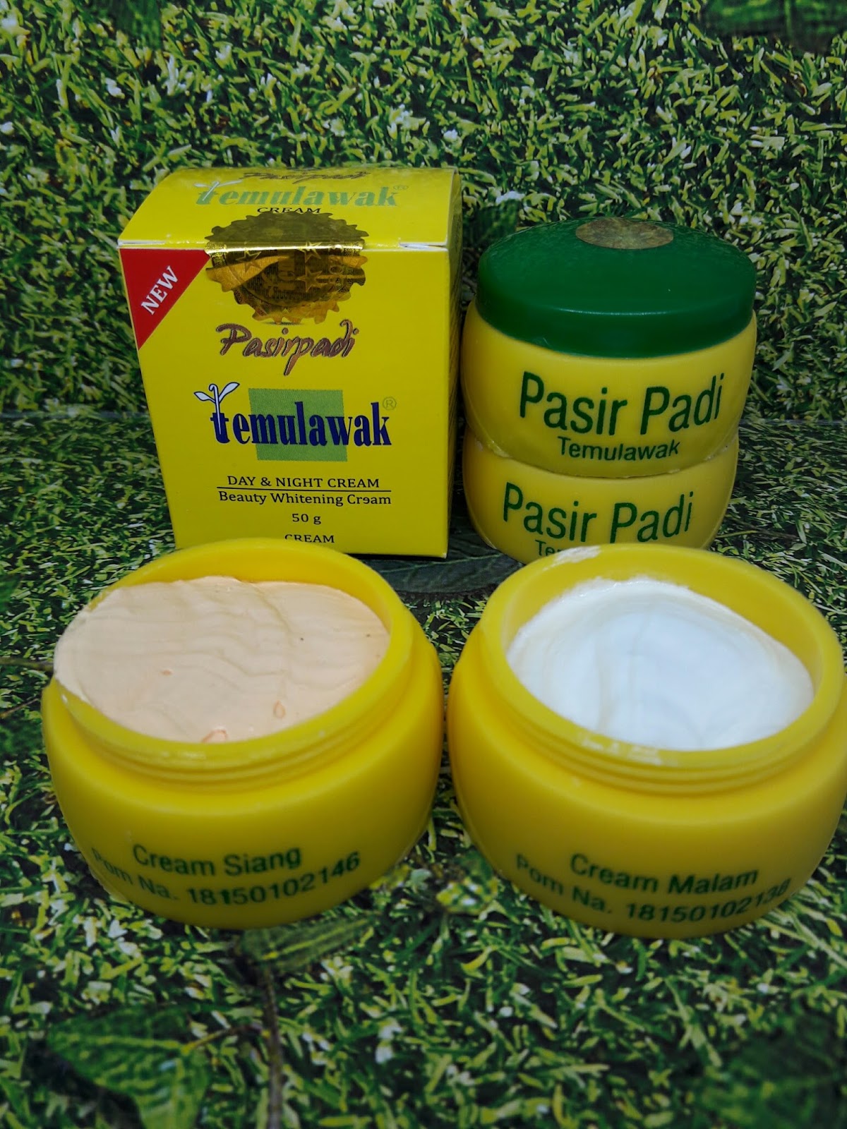 temulawak pasir padi supplier kosmetik agen kosmetik temulawak pasir padi supplier kosmetik agen kosmetik