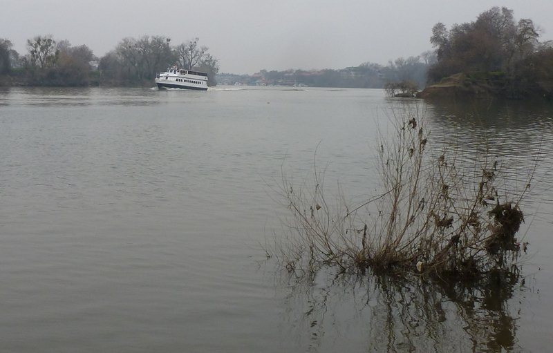 Franco's Fiber Adventure Salmon In The Classroom