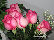 Pink Roses. (pink flowers)