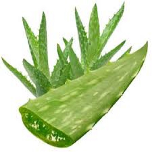 QUIEN SUFRE DE INSOMNIO O APNEA DEL SUEÑO, ESTAS 4 PLANTAS LE AYUDARÁ A CURARLOS QUIEN SUFRE DE INSOMNIO O APNEA DEL SUEÑO, ESTAS 4 PLANTAS LE AYUDARÁ A CURARLOS