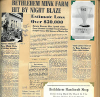A page from the Taylor scrapbook containing an article about a mink farm fire.