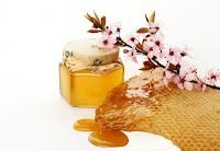 Honey | Sweet Food Made by Bees | Genus Apis