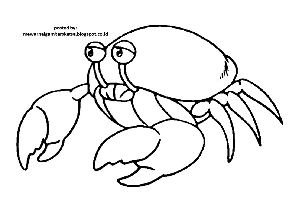 Sketsa Gambar Hewan Untuk Mewarnai