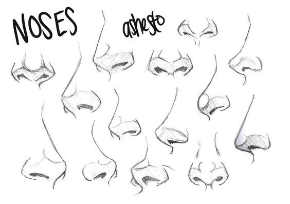 BRHS Com Art 1: The human face: The Nose