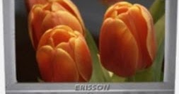 Master Electronics Repair !: REPAIR / SERVICING TV ERISSON 26LS16