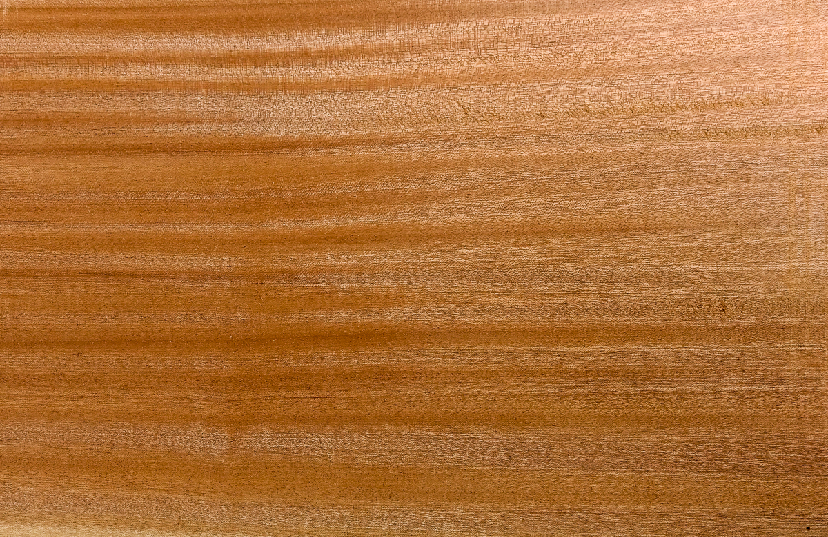 Experiments with Maple, Sapele and Padauk