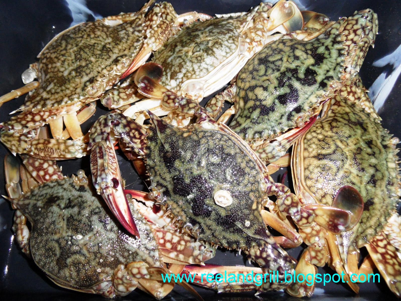 Reel and Grill: Ginisang Alimasag sa Patola at Miswa (Sauteed Blue ...