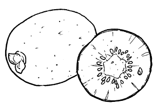 Desenhos de Kiwi para colorir, pintar, imprimir!