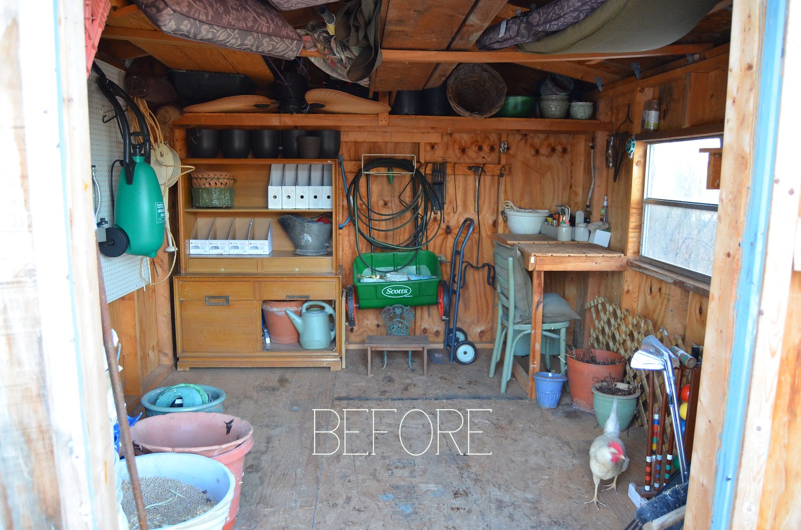 Diy photography studio shed Potting shed dorchester