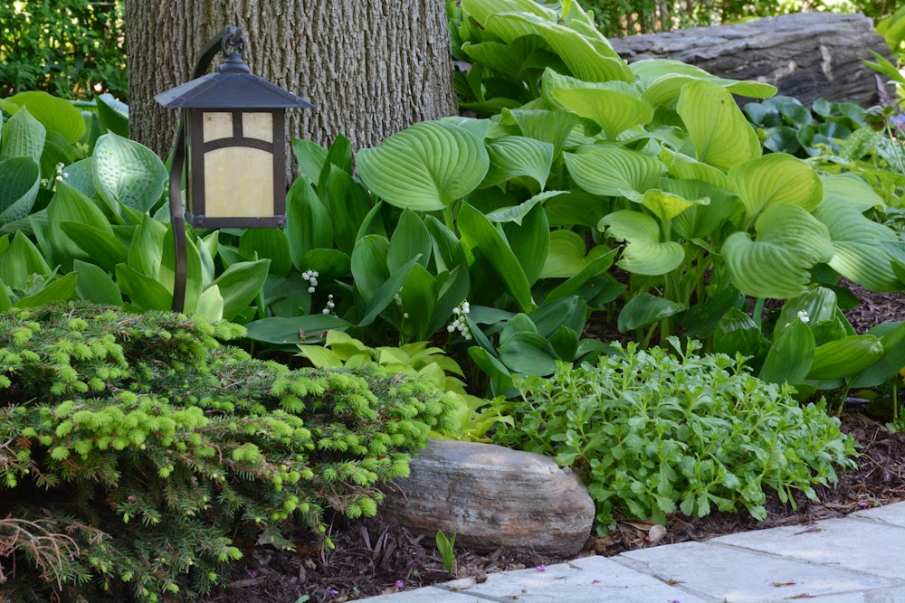 kathyrenwald We all love going on garden tours. The Carnegie Gallery