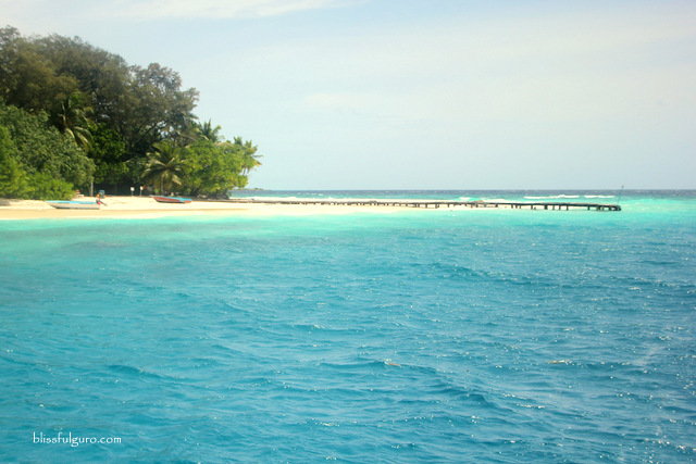 Ariadhoo Maamigili Island Maldives