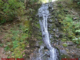 Bridge Creek Falls Tillamook Oregon