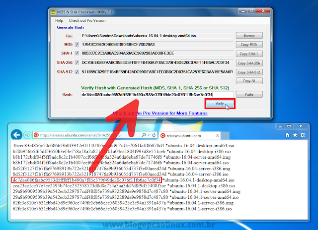 Copie o hash do seu arquivo e clique em "Verify" Copie o hash do seu arquivo e clique em "Verify"