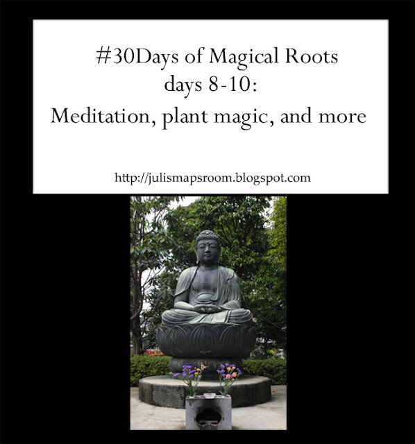 meditation and more, author Juli D. Revezzo. Pic by Brian Jeffery Beggerly
