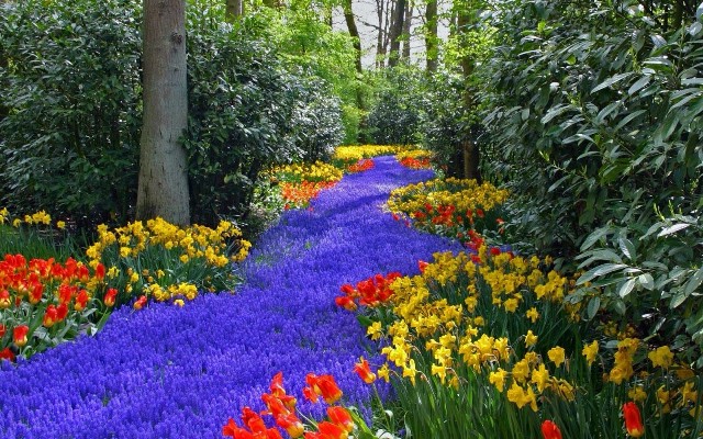 Pic Of Flowers Garden Pic Of Flowers Garden