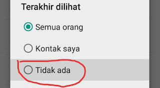 Cara Menghilangkan Status Online WhatsApp 6