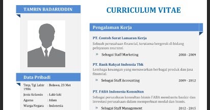 Contoh CV (Curriculum Vitae) yang Baik, Menarik dan Benar 