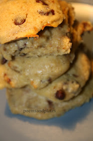 Oatmeal Chocolate Chip Cakies with Walnuts and Pecans