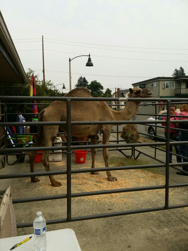 Tenino Food Bank Tenino Food Bank
