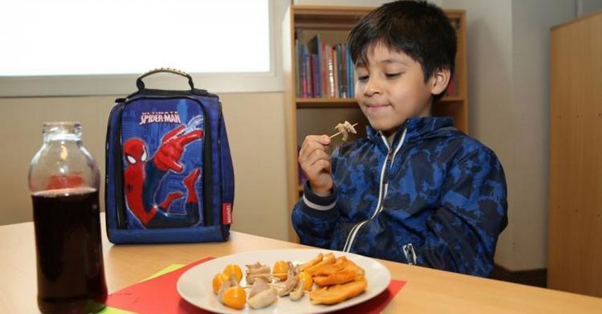 Sepa qué alimentos deben contener loncheras escolares para evitar males de invierno Sepa qué alimentos deben contener loncheras escolares para evitar males de invierno