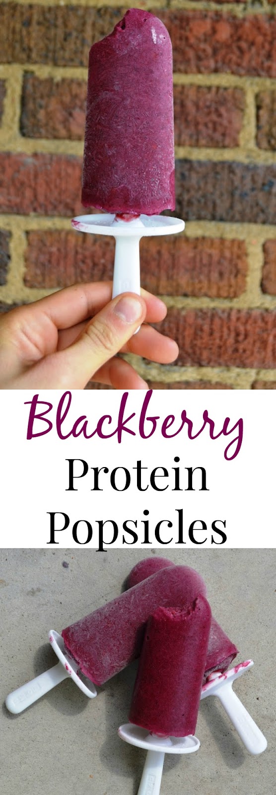 blackberry fruit what fruit has protein blackberry fruit what fruit has protein