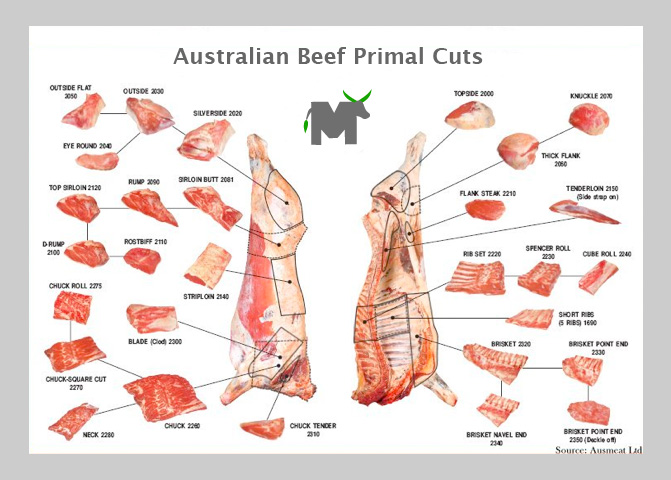 Meat Cut Chart | Food Production and Preservation | Forums