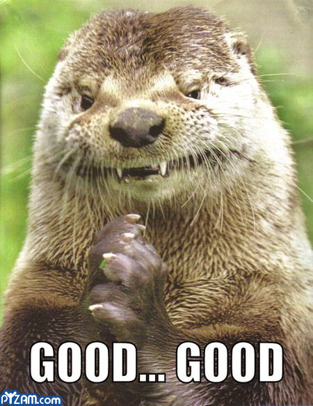 Funny+Otter1.jpg