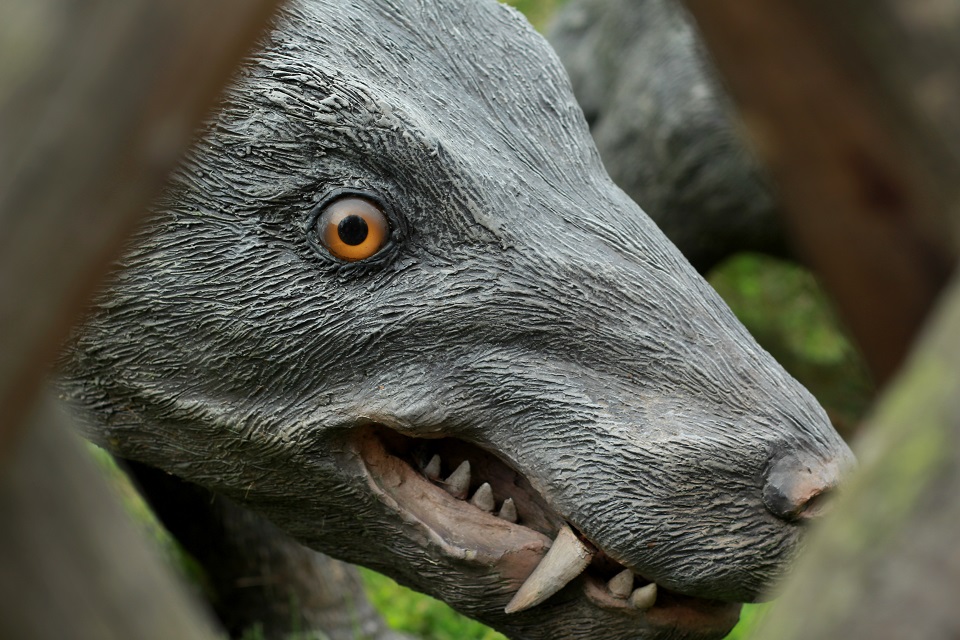 Dinozaur 