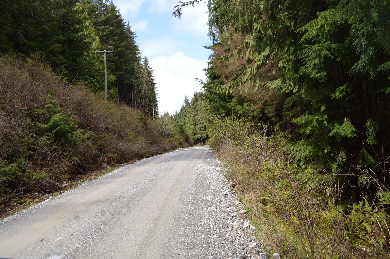 BC Oceanfront Forest Service Roads