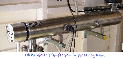 Purified water disinfection