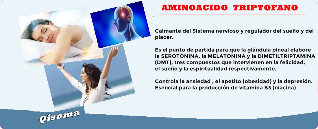 CON ESTE AMINOACIDO SE REGULA EL SUEÑO Y LA FELICIDAD. triptófano.