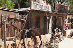 town ghost silver mimi suitcase