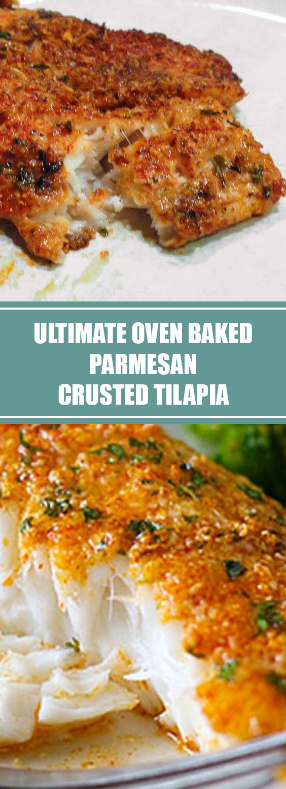 Ultimate Oven Baked Parmesan Crusted Tilapia #glutenfree #bestrecipes ...