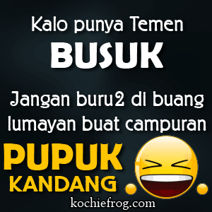 Gambar DP BBM Paling Lucu Sedunia 100 Gokil Abiss Gambar DP BBM Paling Lucu Sedunia 100 Gokil Abiss