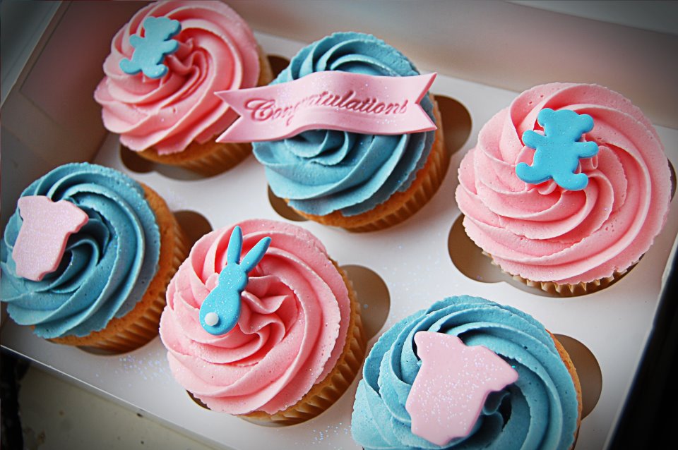 Little Paper Cakes New Baby pink and blue cupcakes
