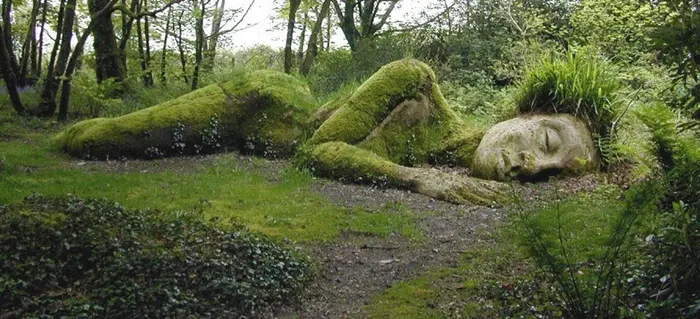 L'arte Topiaria | Scultura vegetale