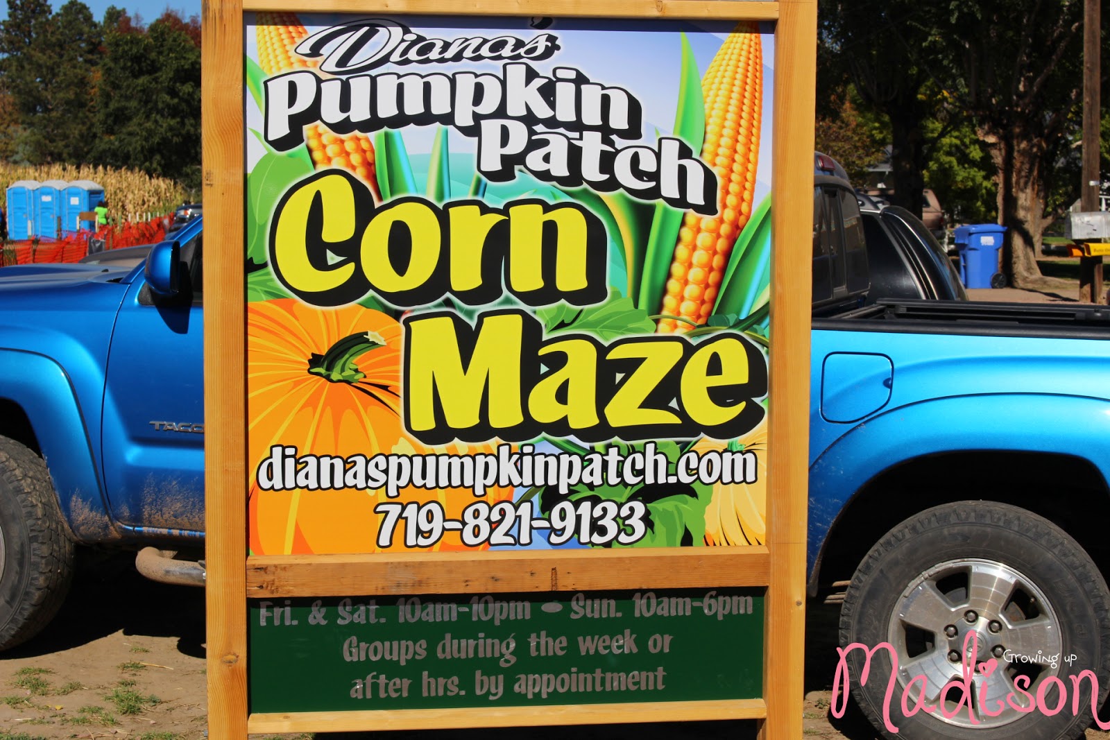 My Visit to the Pumpkin Patch and Corn Maze – Almost Wordless Wednesday