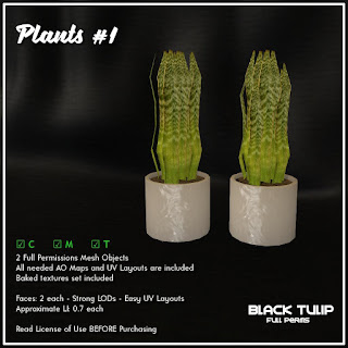 [Black Tulip] Mesh - Plants #1