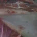 Hưng Yên: Hãi hùng lợn chết giá 400.000đ/con tuồn vào trường tiểu học tiêu thụ