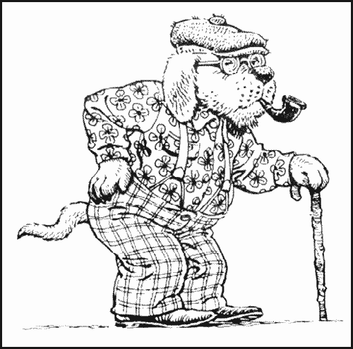 how to figure out how old a dog is