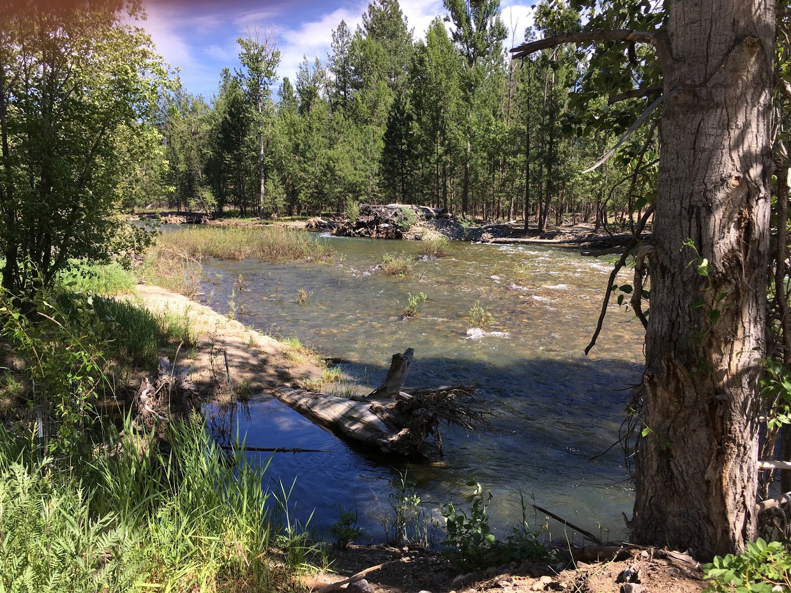 All This Is That winthrop