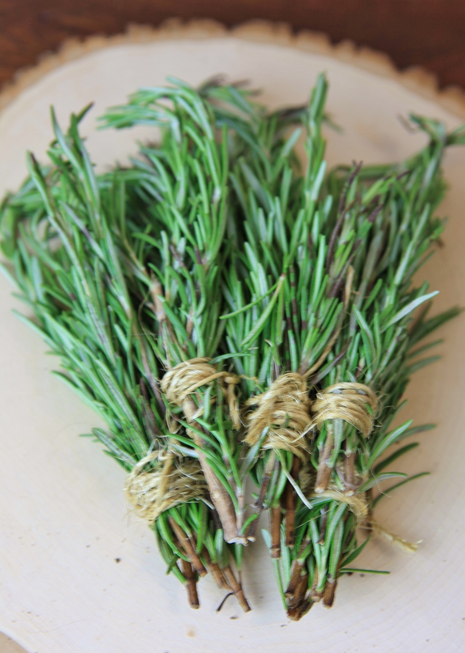 Rattlebridge Farm: Herb Series: Rosemary