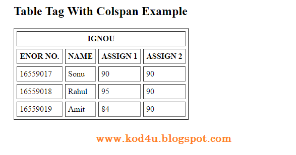 HTML Table Tag With Colspan Example