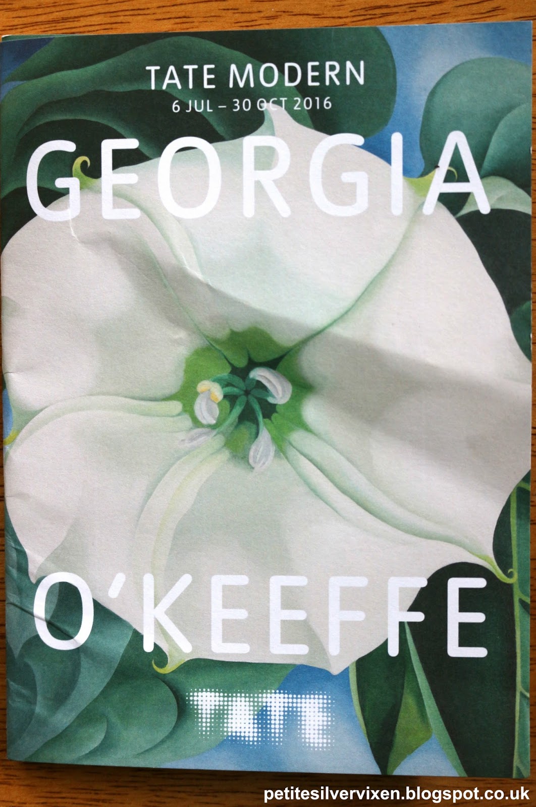 Georgia O'Keeffe Exhibition Guide, Tate Modern | Petite Silver Vixen