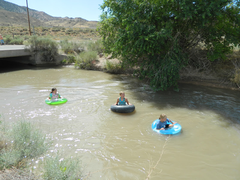 sweetnsassy6 Tippy Canoes