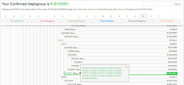 confirmed haplogroup Family Tree DNA haplotree