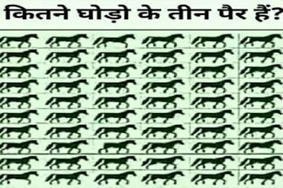 कितने घोड़ो के तीन पैर है ? Puzzle 99% log fail Ho Chuke Hai !